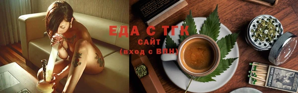 гашик Ельня