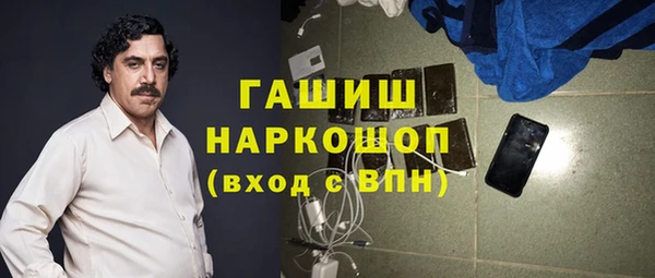 гашик Ельня