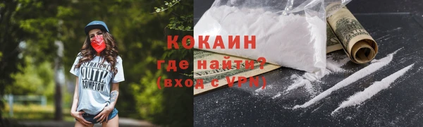 тгк Елизово
