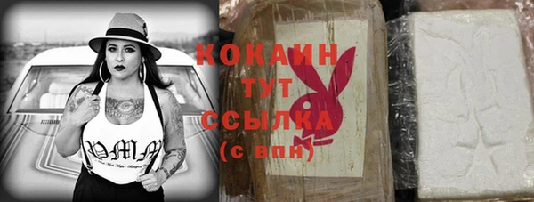 гашик Ельня