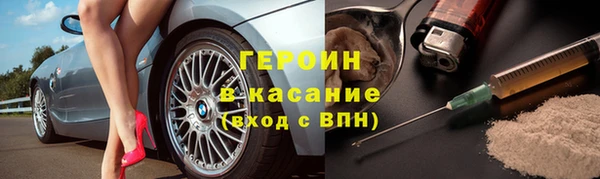 гашик Ельня