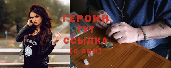 гашик Ельня