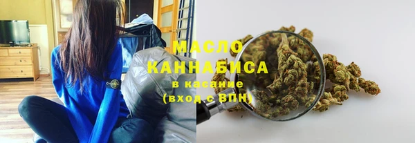 гашик Ельня