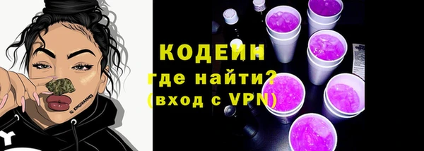 гашик Ельня