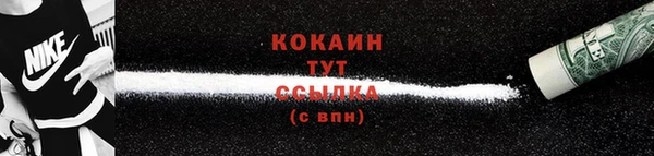 гашик Ельня