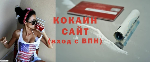 гашик Ельня
