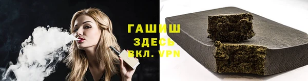 гашик Ельня