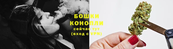 гашик Ельня
