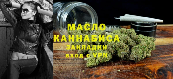 гашик Ельня