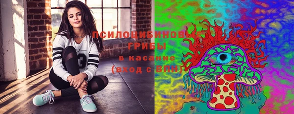 гашик Ельня