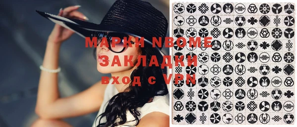 гашик Ельня