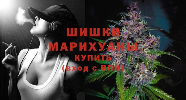 гашик Ельня