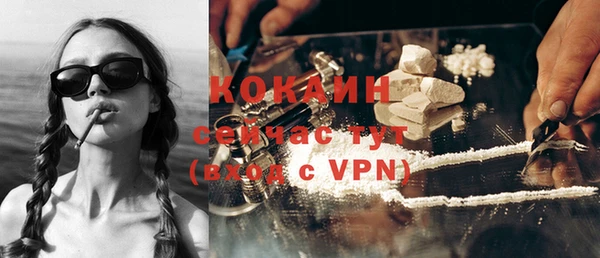 тгк Елизово