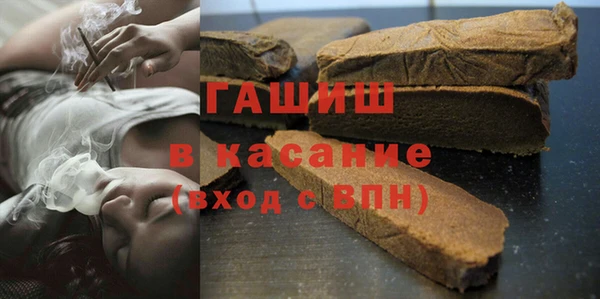 гашик Ельня