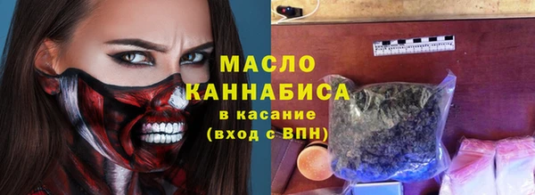 гашик Ельня