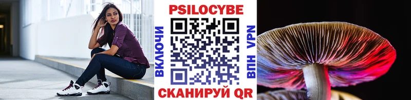 что такое   Заозёрск  Псилоцибиновые грибы ЛСД 